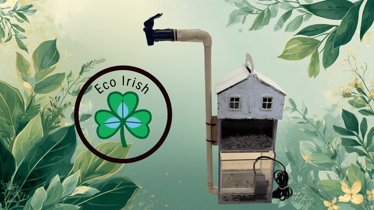 Eco Irish